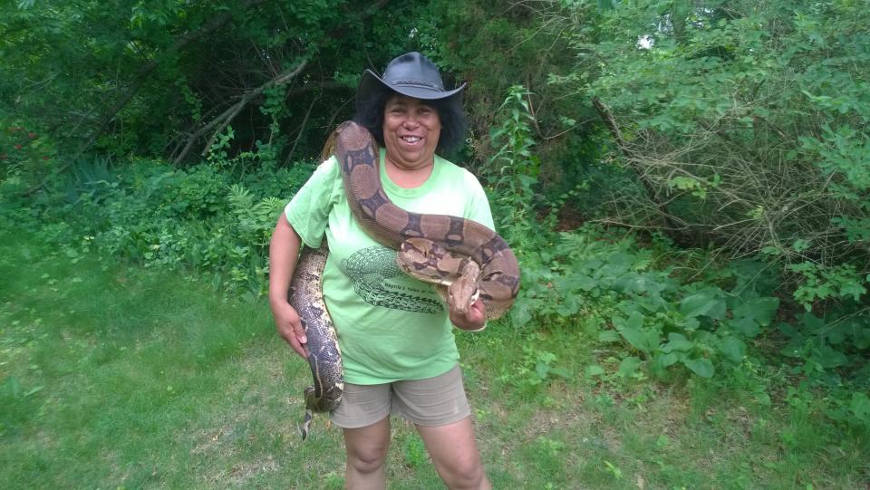 Taunton wildlife expert Marla Isaac holds a South American boa constrictor that she cared for inside her home in this undated photo.