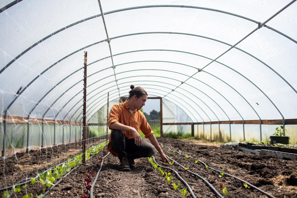 Scott Chang-Fleeman, owner and farmer of Shao Shan Farm, grows Asian vegetables in Bolinas, Calif. on May 2, 2019.<span class="copyright">Celeste Noche</span>