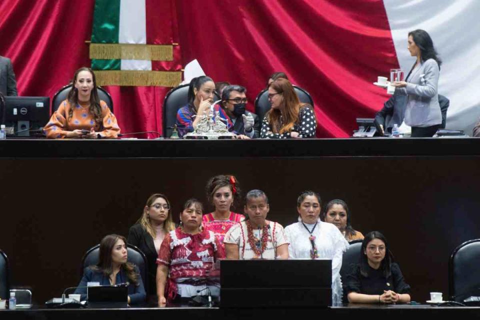 acción afirmativa diputados senado