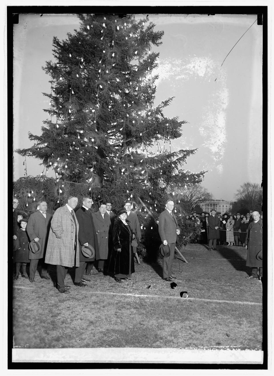 This photograph is of President Calvin Coolidge lighting the National Christmas Tree on Christmas Eve 1923. Since then, the annual lighting of the National Christmas Tree has become a treasured holiday tradition in Washington, D.C.