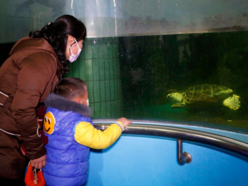 A woman and her son see the tortoise at the aquarium of the Central Zoo in Pyongyang, North Korea, on Dec. 3, 2021.