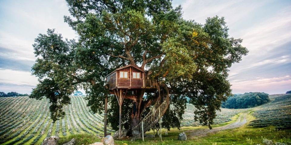 5) Rural Treehouse