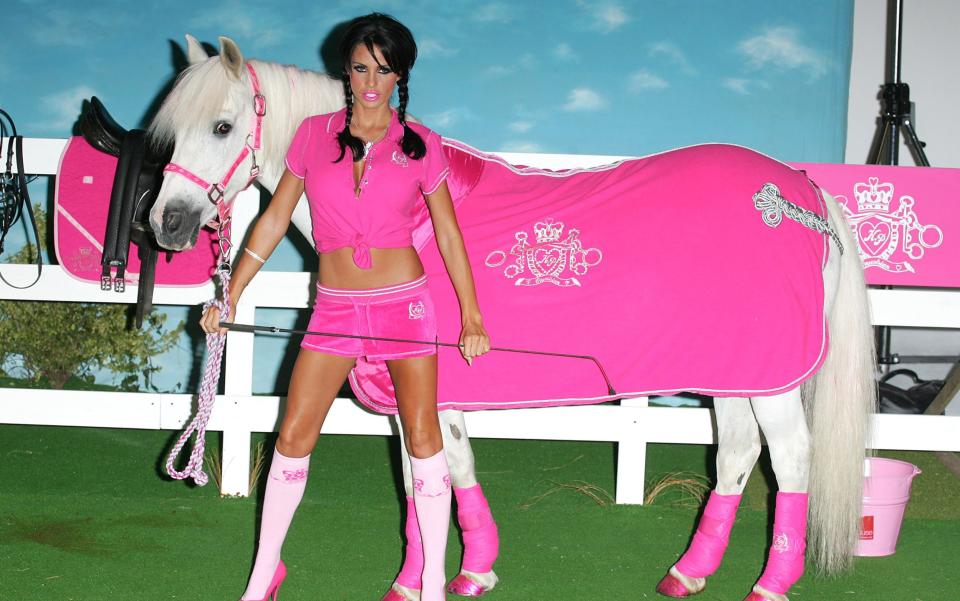 Katie Price, wearing a pink top, pink shorts and pink stilettos, stands next to a horse wearing a pink coat and carrying a pink bridle