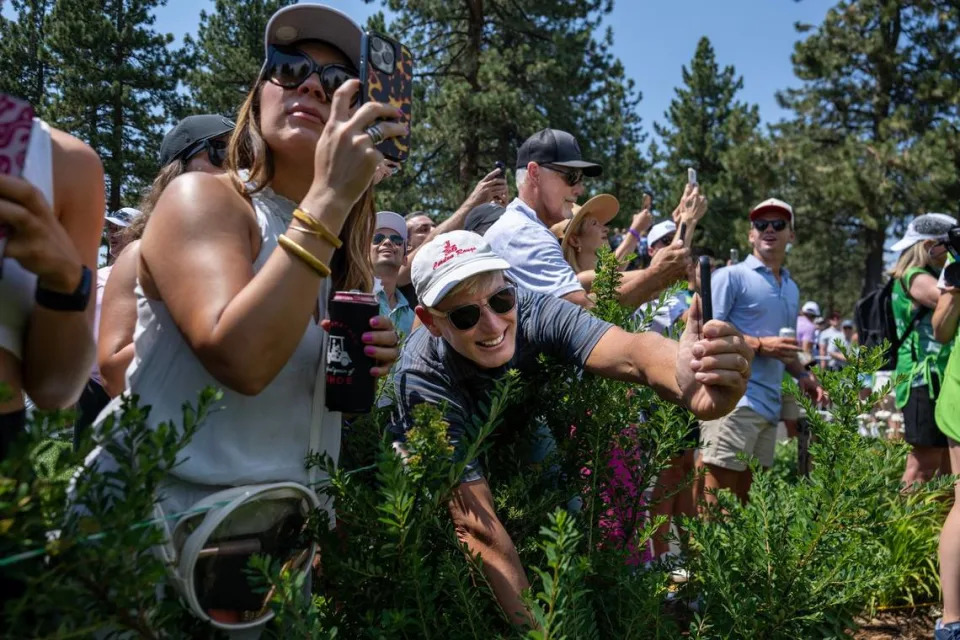 Paul Nelson of Lake Tahoe reaches over the rope to get photographs of the Kelce brothers on the 18th tee in the first round of the American Century celebrity golf championship on Friday, July 12, 2024, in Stateline, Nev.