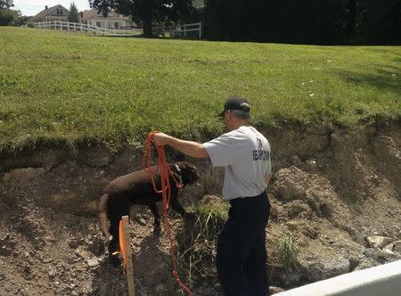 Cadaver dog searches for more human bones at road construction site in Schuylkill Haven, Pennsylvania August 14, 2015. REUTERS/David DeKok