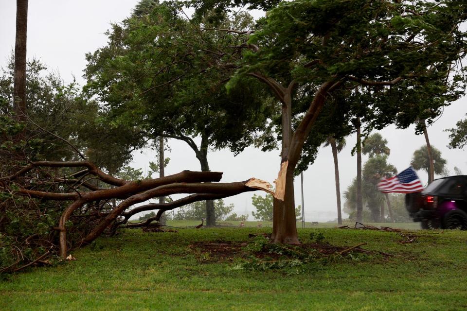 A tree branch broken by strong winds from Hurricane Ian in Sarasota, Fla.