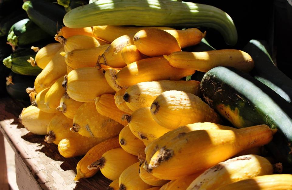 On Saturday, Squash 4 Friends will host giveaways of vegetables, plants, flowers, seedlings and fertilizer, along with a yard sale to benefit the nonprofit’s farm in Apple Valley.