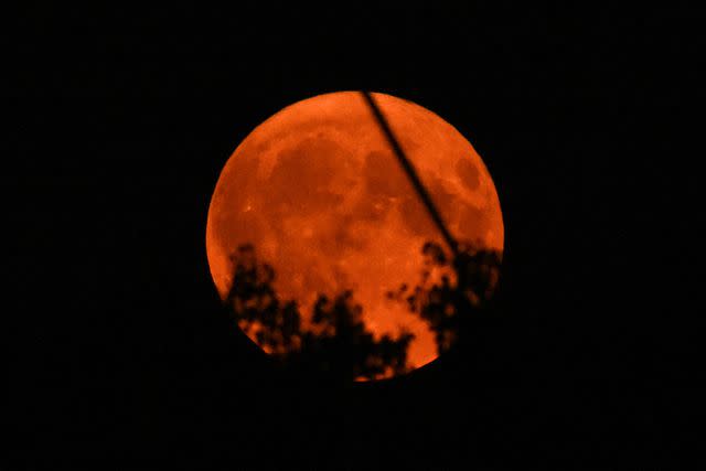 <p>INA FASSBENDER/AFP via Getty</p> Rare super blue moon in Germany