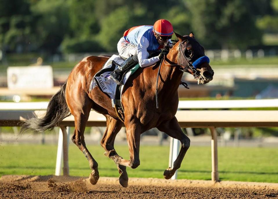 Bob Baffert’s Muth was scratched from an expected start in Saturday’s Preakness Stakes due to spiking a fever. Muth was the 8-5 morning-line favorite for the Preakness.