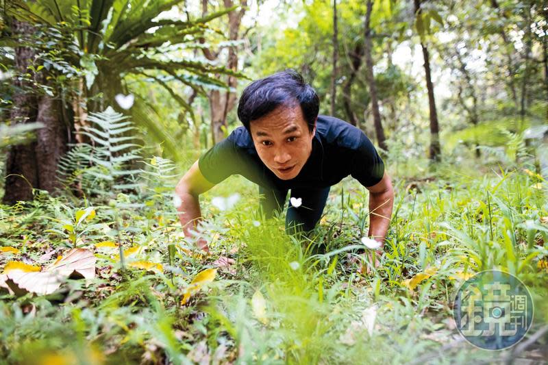 詹家龍說，草叢中這群白色的「黑點粉蝶」，應是在集體求偶。