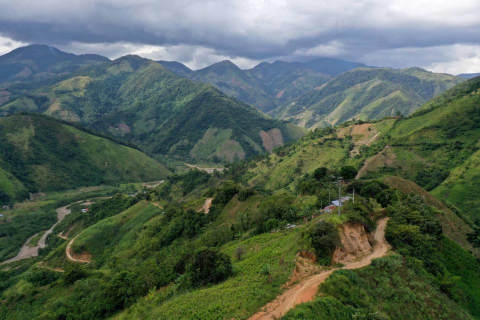 Aerial view showing coca plantations amid hills