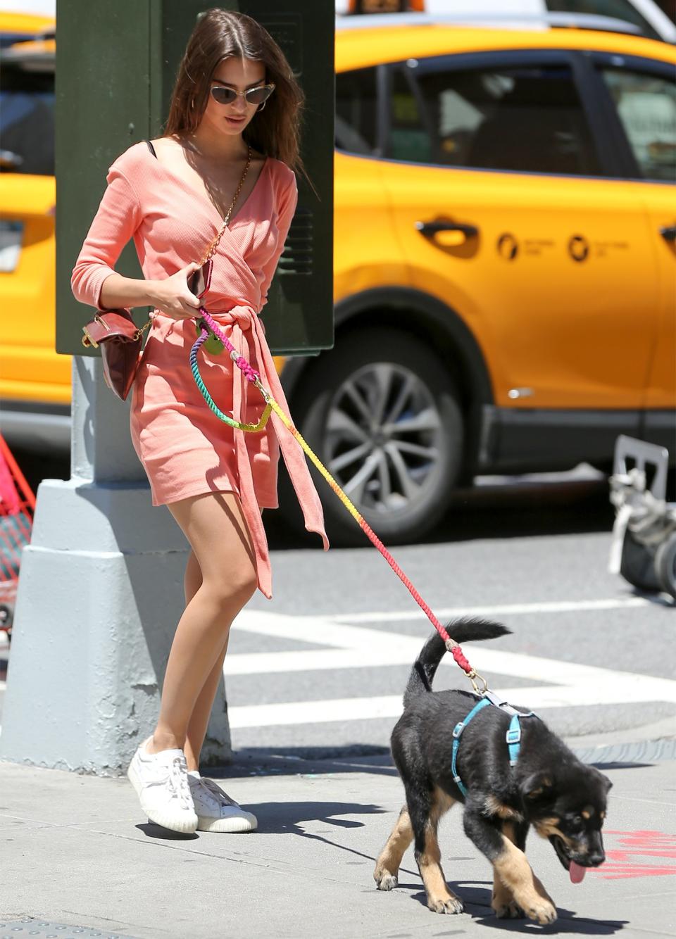 Emily Ratajkowski keeps it casual for a Tuesday walk with her pup in N.Y.C.