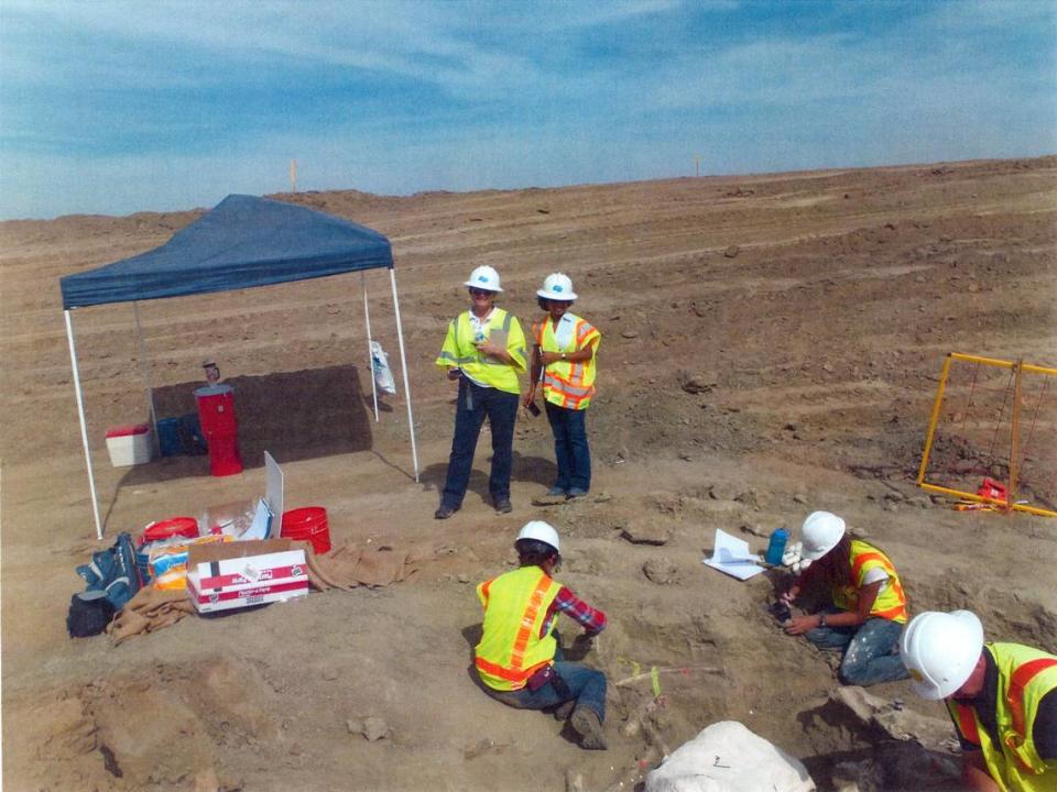 En 2012 se encontraron 2,000 fósiles de la Edad de Hielo durante la excavación de los proyectos de las Highways de Plainsburg y Arboleda.
