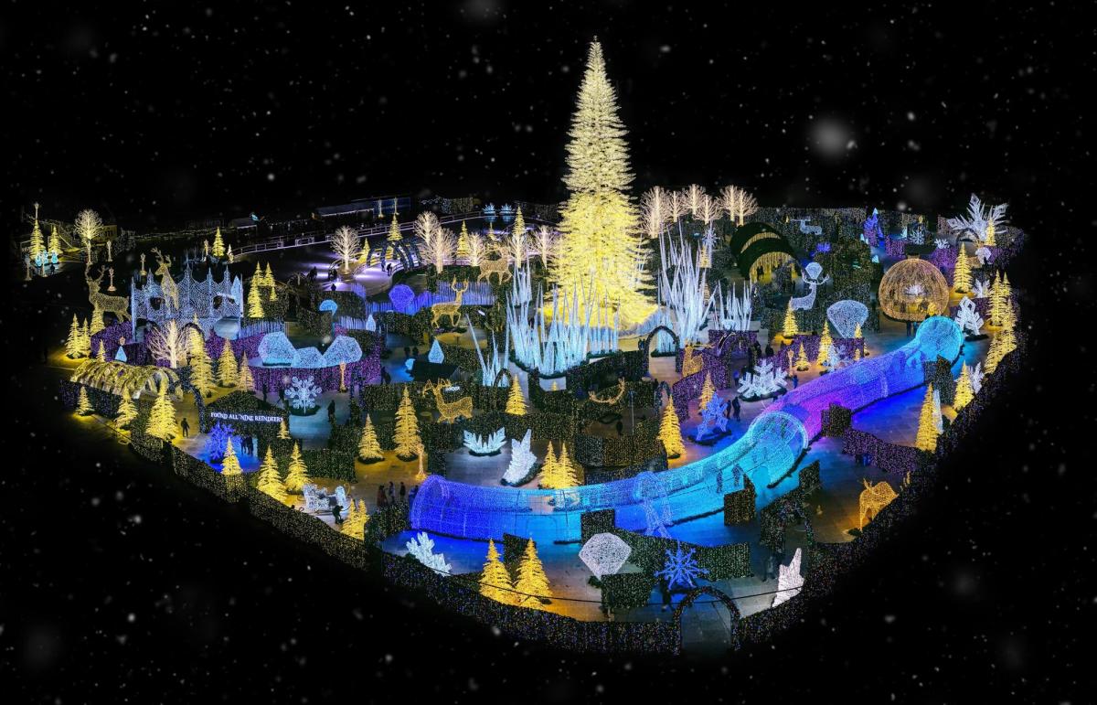 Experience The Magic Of The World's Largest Christmas Light Maze