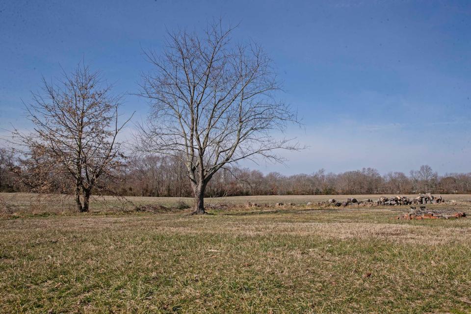 A panorama of a segment of Annette Billings' 8 acres of land is featured near Milford, Thursday, Feb. 22, 2024. Billings was facing an eminent domain case for her land that has been vacated.