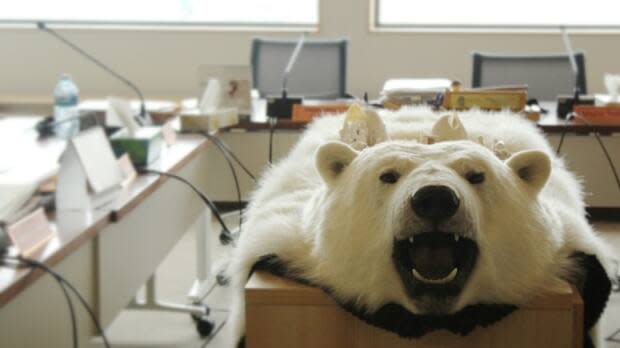 A polar bear hide decorates a central table in the hamlet council chamber in Kugaaruk, Nunavut. The Nunavut government is bringing unsellable bear hides back to the territory from an Ontario auction house that had around 300 in storage.  (John Last/CBC - image credit)