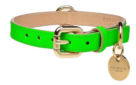 Dogatella Glow Dog Collar - Credit: Dogatella