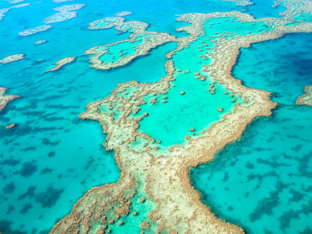 The Great Barrier Reef is one of the seven wonders of the natural world (Getty)