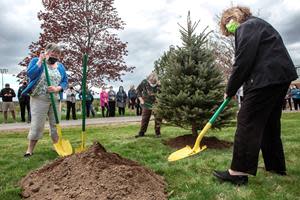 Two blue spruce trees were planted along the west side of an access road on Husson University's campus, outside of the Furman Student Center, in recognition of this year’s six retirees. Helping to plant one the blue spruce trees were three of this year's retirees. They were Janice Clark, an administrative coordinator for Athletics (left), Priscilla Bisher, MS, RN-BC, an instructor in the School of Nursing (center), and Laurie Eddy, MSN, RN, FNP - BC, WHCNP, an assistant professor at the Wellness Center (foreground right).