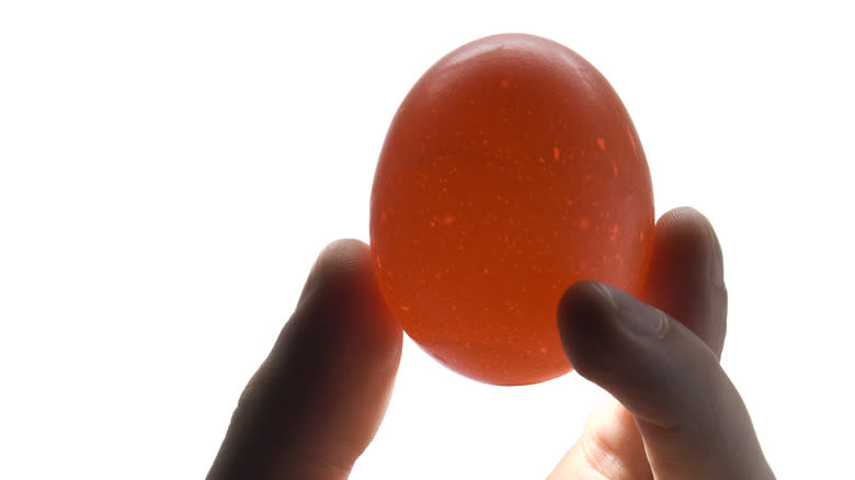 hand holding illuminated egg