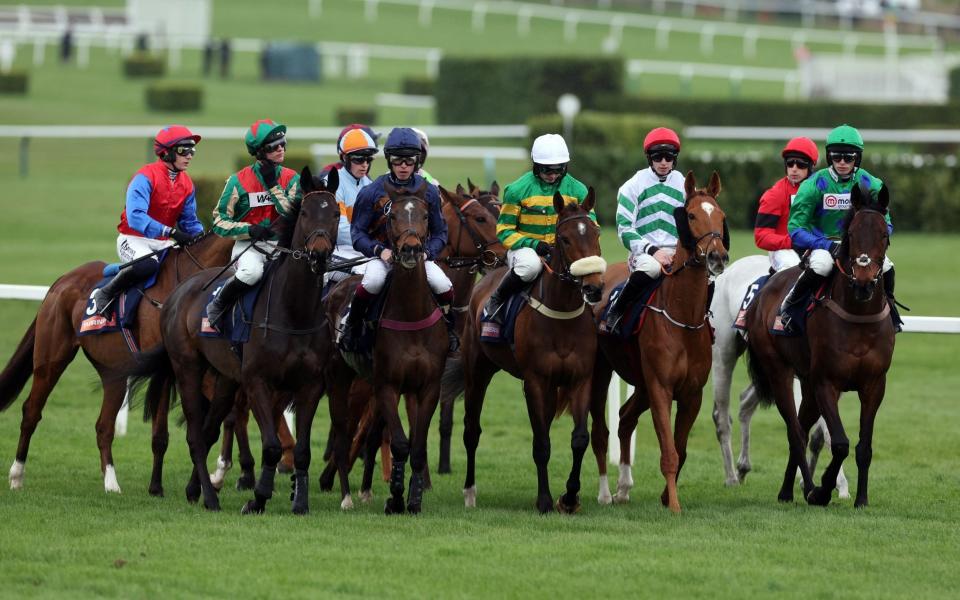 General view of the riders and runners before the start of the 13:30 Turners Novices' Chase