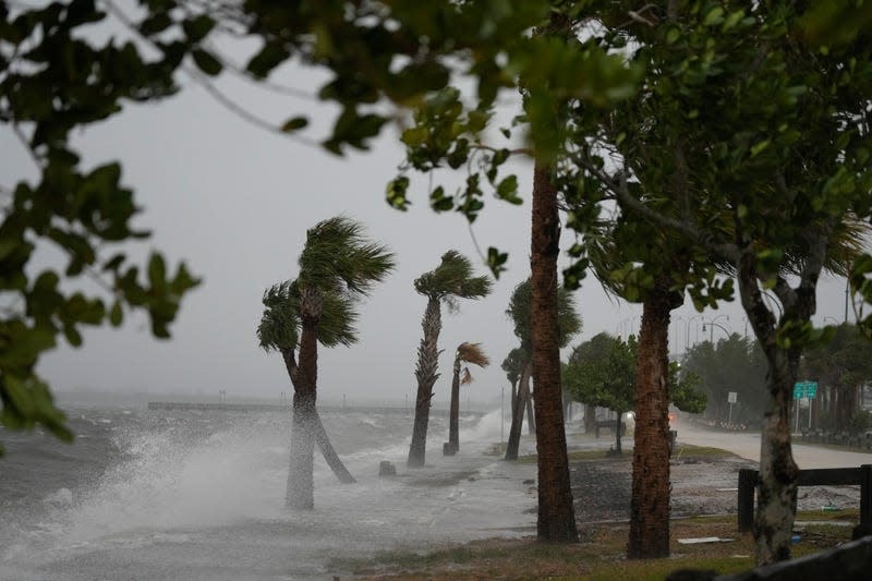 Photo of windblown shoreline