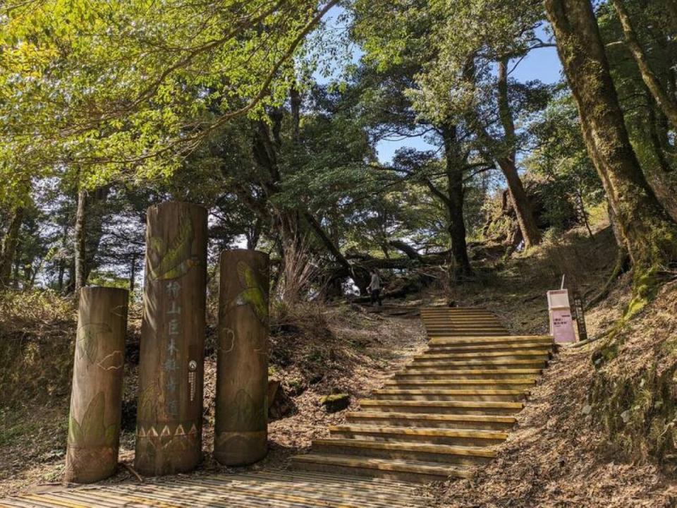 觀霧檜山巨木步道因橋樑檢修，封閉6個月請遊客注意。（圖：林業自然保育署提供）