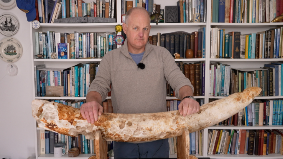 Pete Holt with his hands rested on the elephant tusk on a stand