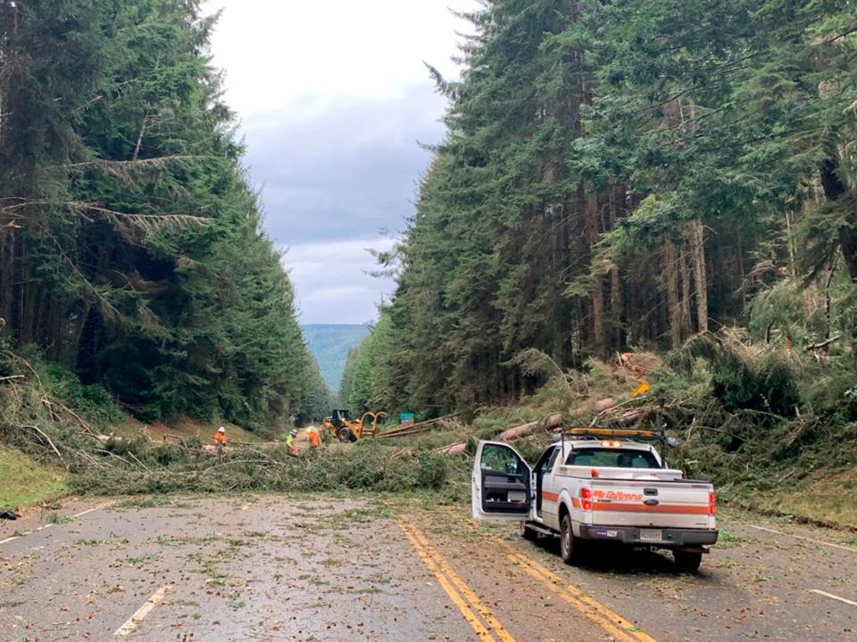 A tree is fallen across a forest road with crews working to remove it