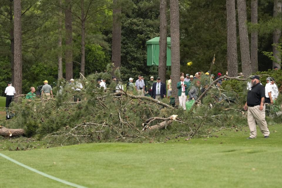 The trees that fell Friday at Augusta National Golf Club were between the tournament and members tees near the 17th hole, just to the right of the 16th green.