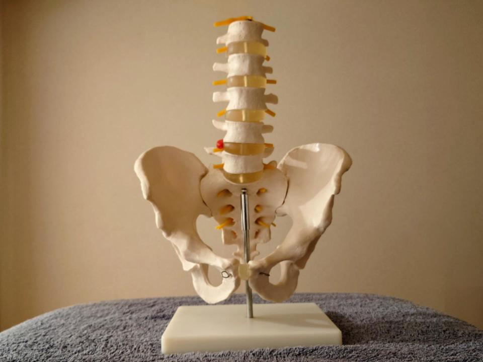 <strong>荷爾蒙能預防骨質疏鬆，減少骨鬆引起的各種骨折的發生。（示意圖／資料庫）</strong>