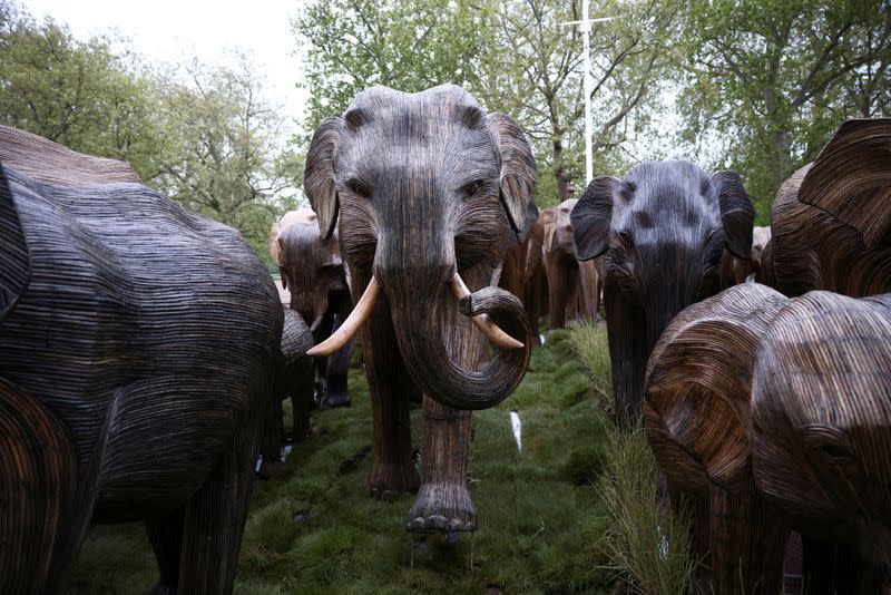 Life-size elephant sculptures are paraded down the Mall in London