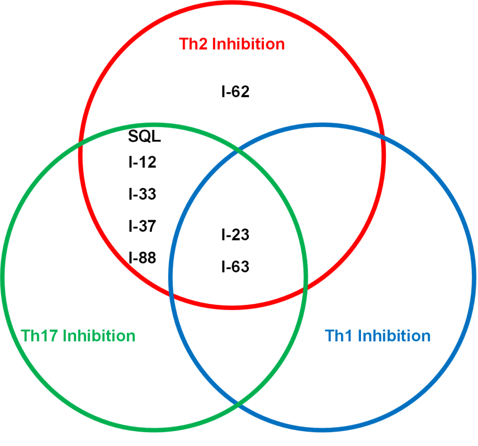 Figure 1: Venn diagram illustrating different biological properties of the next-gen ITK inhibitors in T cell differentiation assays.