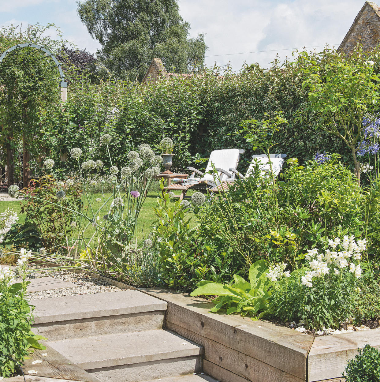  Garden with white flowers. 