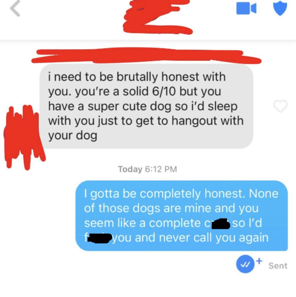 person 1: you're a solid six out of 10 but you have a super cute dog so i'd sleep with you just to get a to hangout with your dog person 2: none of those dogs are mine and you seem like a complete ass so i'd fuck you and never call again