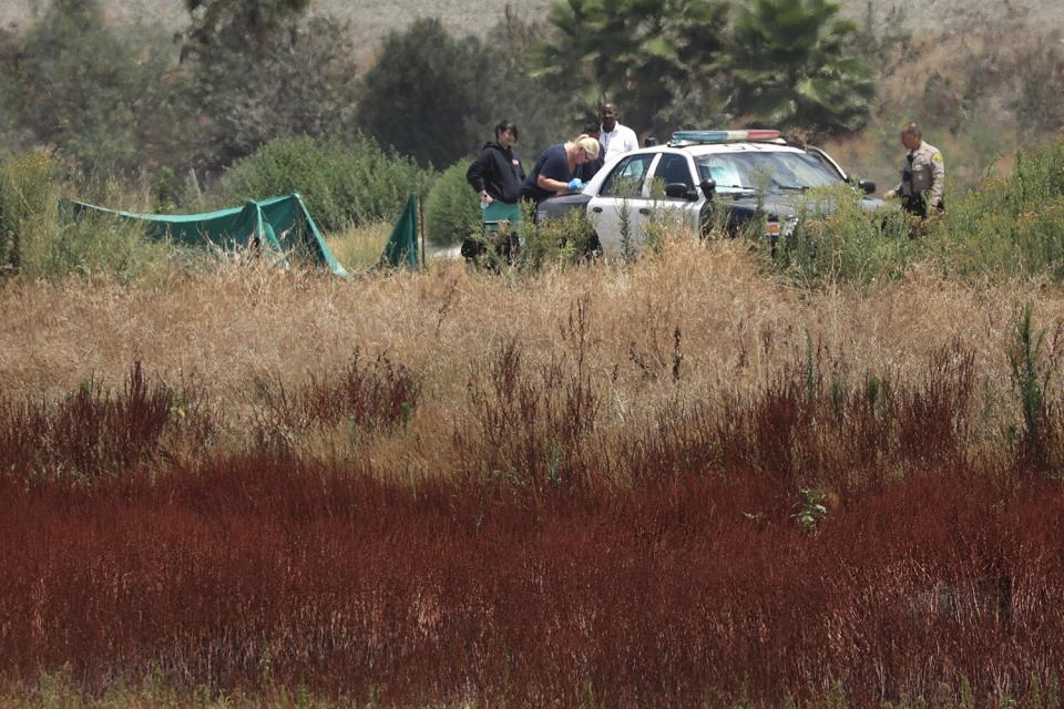 Investigators on the scene where a woman and her two dogs were killed by an apparent lightning strike along the San Gabriel River &amp; Bike Trail in Pico Rivera on Wednesday, June 22, 2022