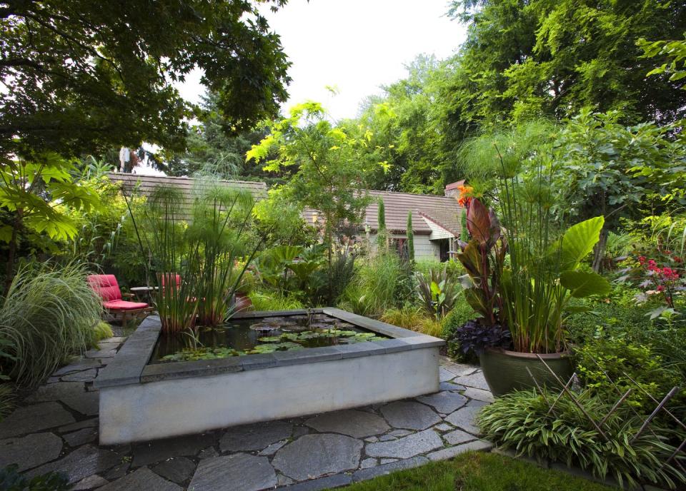 landscaped garden with koi pond