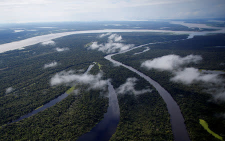 FILE PHOTO: The Mamiraua Sustainable Development Reserve is seen in Uarini, Amazonas state, Brazil, May 16, 2016. REUTERS/Bruno Kelly