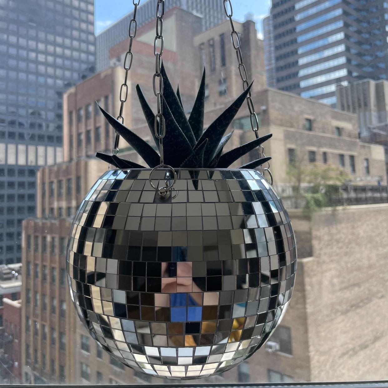 Zoe Malin hung a disco ball planter in her window.
