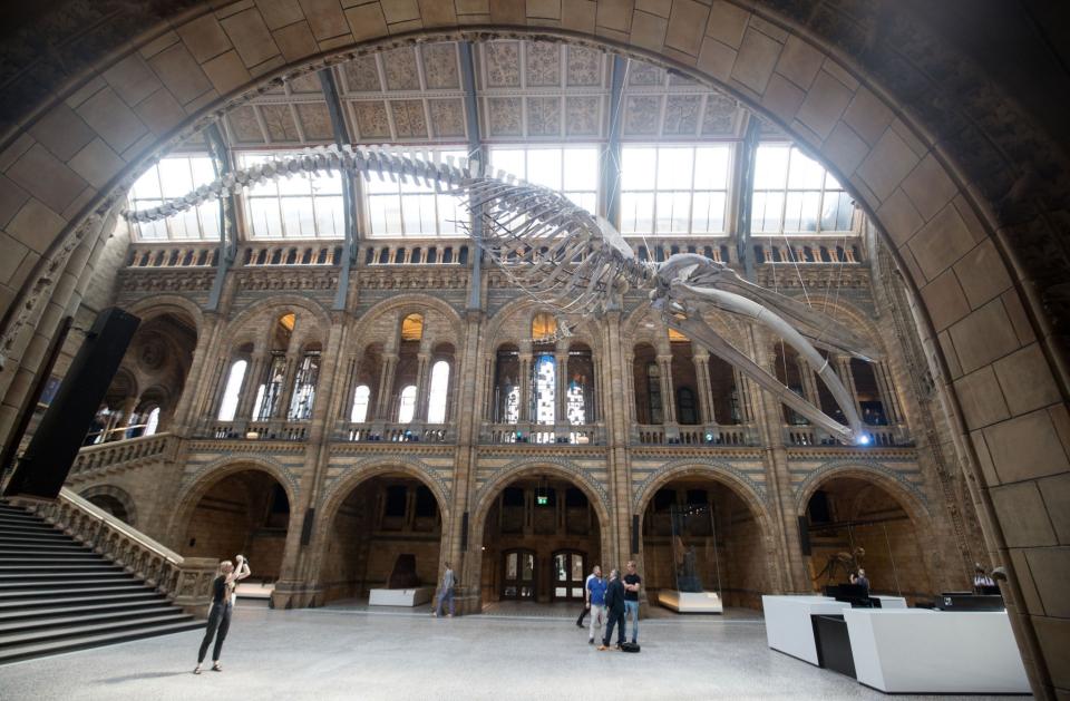 In pictures: Duchess of Cambridge unveils 'Hope' the whale at Natural History Museum