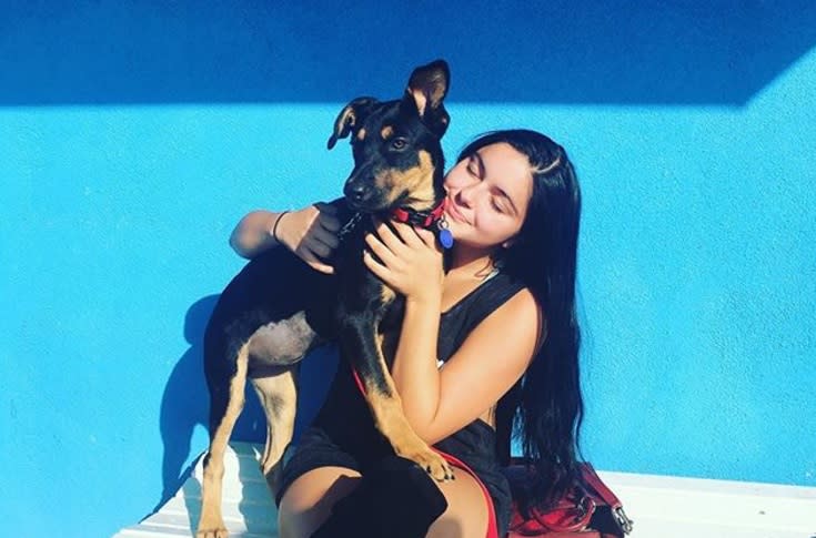 Here are 11 of the cutest celebrity pets on Instagram