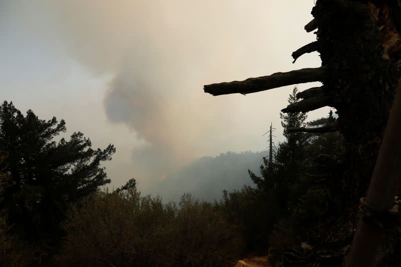 Firefighters during the Bobcat Fire in Los Angeles