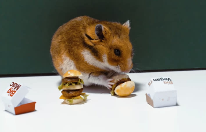 Teddyhamster Goldie ist McDonald’s neuer Werbestar. (Bild Screenshot / McDonald’s Facebook)