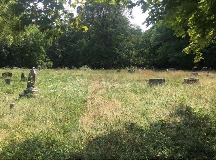 Nature had reclaimed this cemetery before the daughter of a veteran buried there took charge.