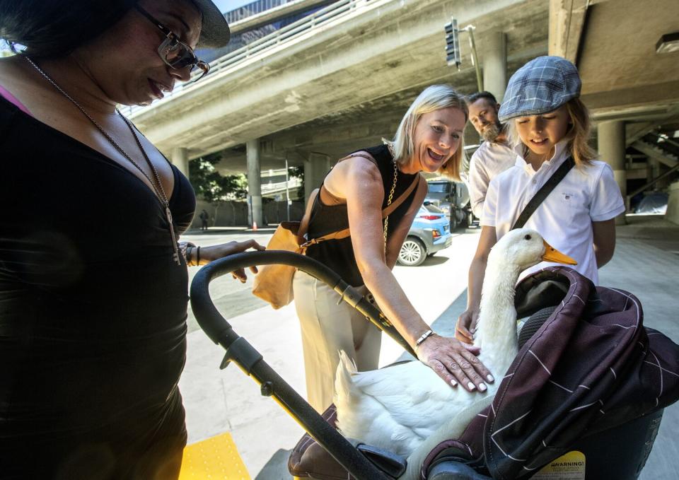 Angelica Lindemann and her son, Sander, pet Cardi D in her stroller in downtown Los Angeles.