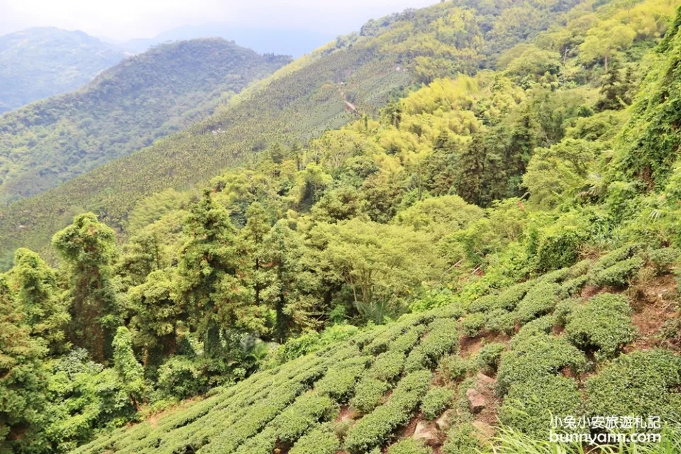 嘉義｜太興岩步道