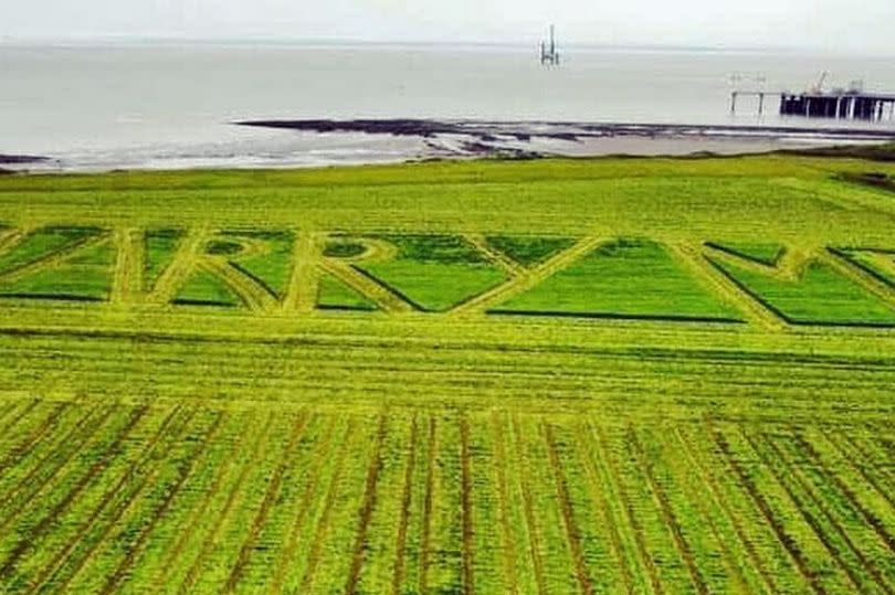 A field with 'marry me' mowed into it