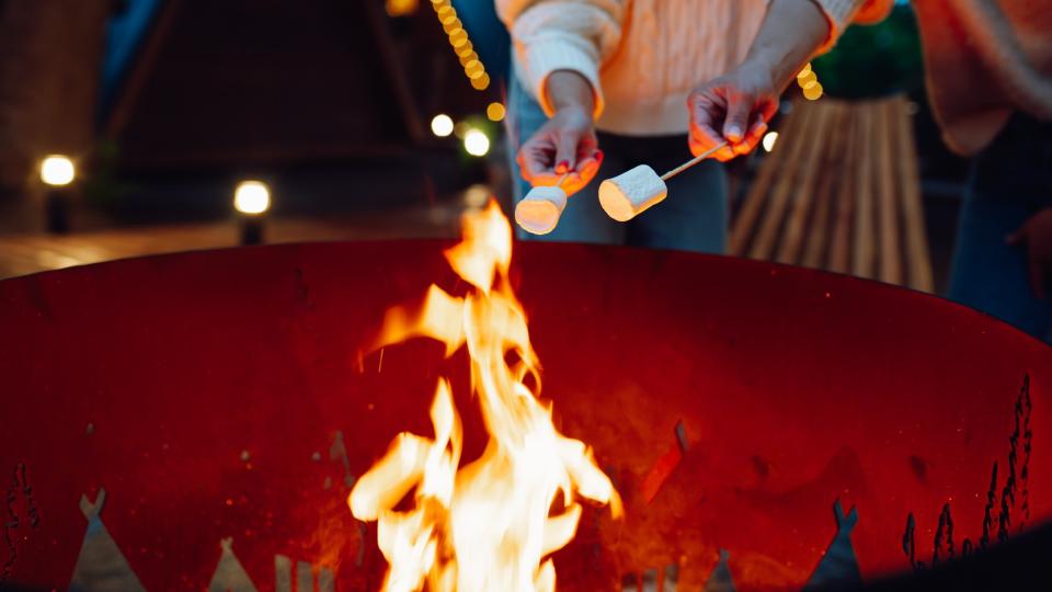 Two women roast marshmallows over a camp fire