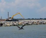 A pelican flies past an excavator that is moving rocks to armor he edges of a Louisiana barrier island on Wednesday, July 28, 2021. Contractors are at work on a $102 million Louisiana Coastal Restoration and Protection Authority project to add about 400 acres of beach, dune and marshland to Grand Terre Island. Weather permitting, they hope to finish in November. (AP Photo/Janet McConnaughey)