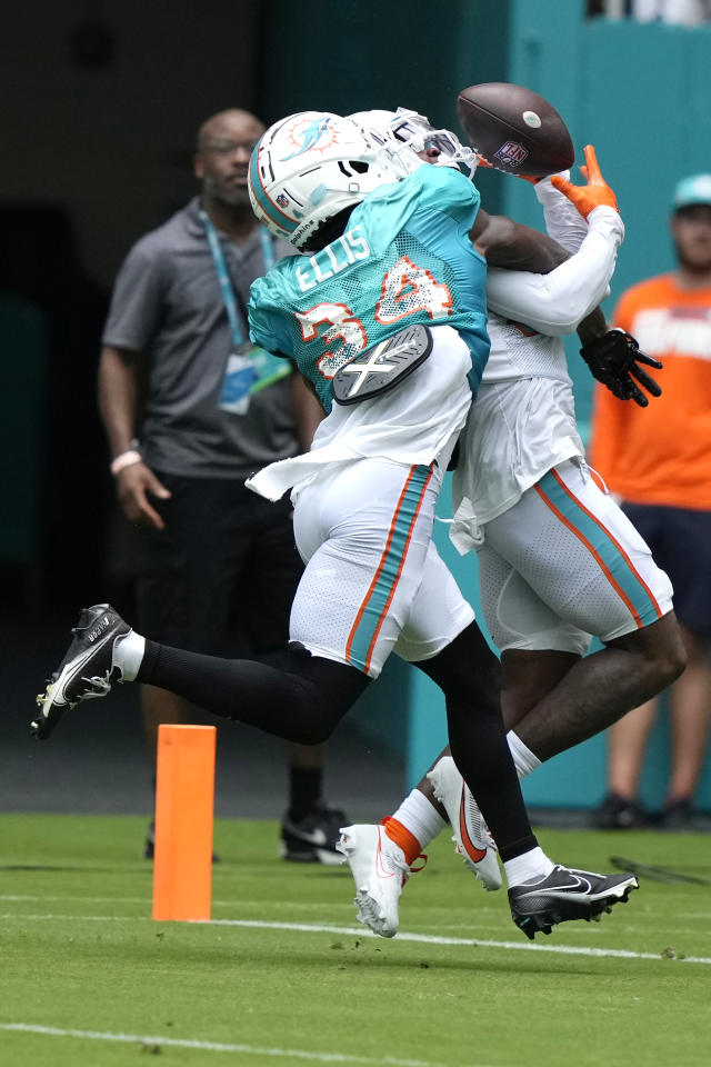 Miami Dolphins wide receiver Chris Coleman is shown during the